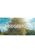 Bridgerton Series